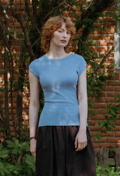 [Same-Day Shipping] Dolly cap sleeve ice knit